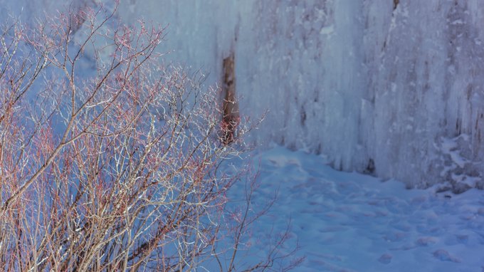 Twitterのコスプレ画像21