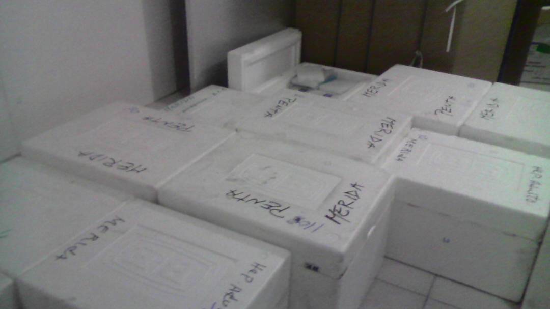 ivanrive3's tweet photo. #31Ago "Con el apoyo del Pdte. @NicolasMaduro y @GobAlexisR llegaron más vacunas para el estado Mérida": Denis Gómez @meridacorposal https://t.co/HAR67uLgAA
