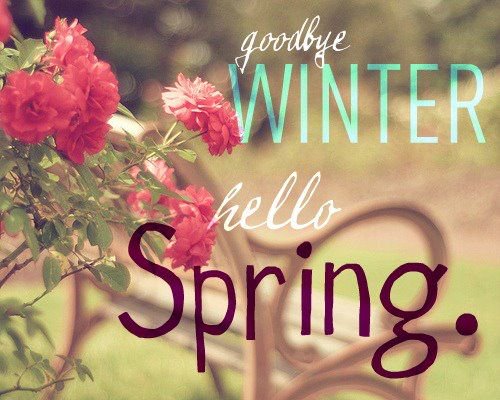 PositiveVibesF's tweet photo. Celebrate Spring
https://t.co/kW99Ts5xam https://t.co/Y5RdSNDlNe