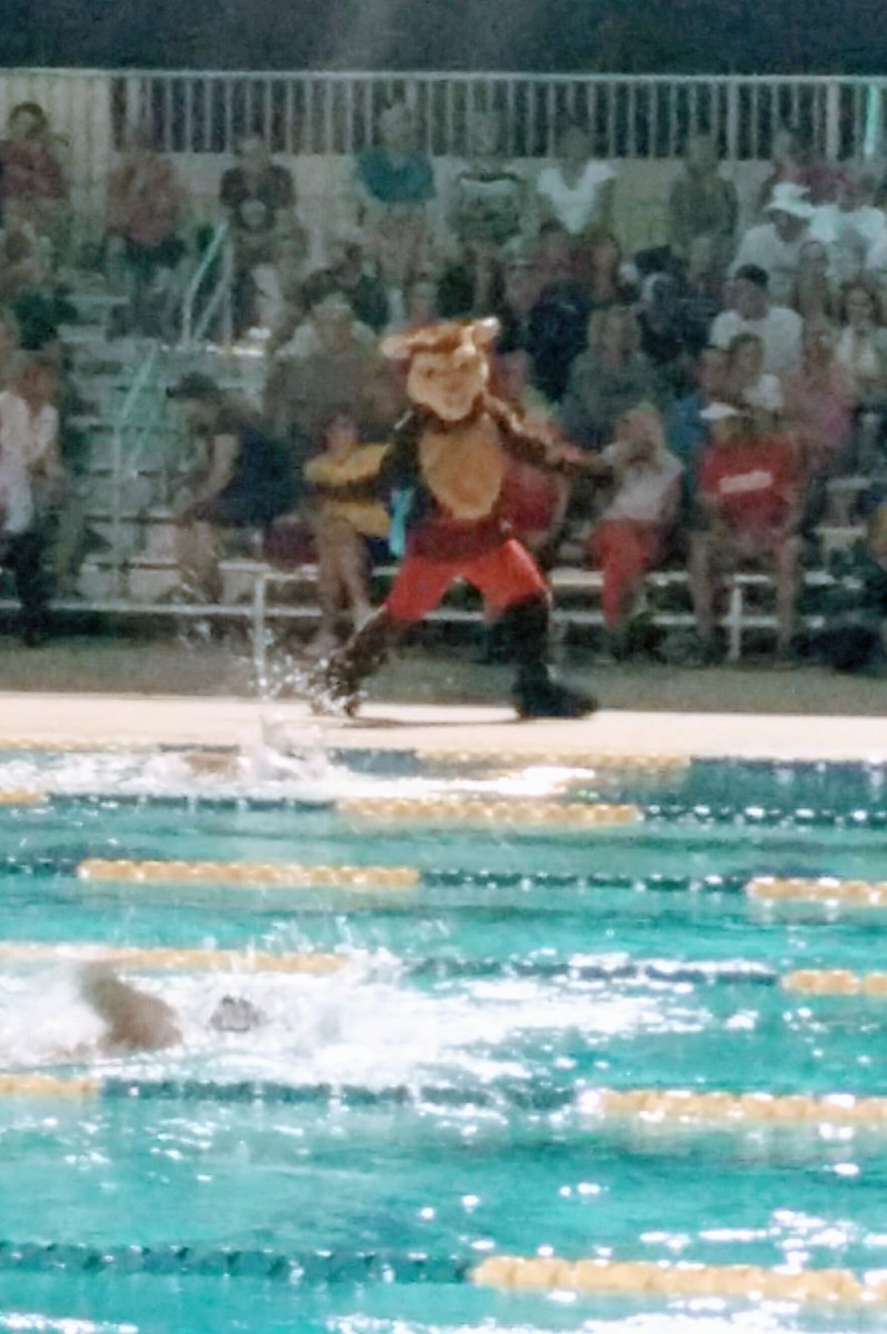 MPSAzSports's tweet photo. School mascot at a swim meet! How awesome is that!  #mesapublicschools https://t.co/75JuDTFxW2