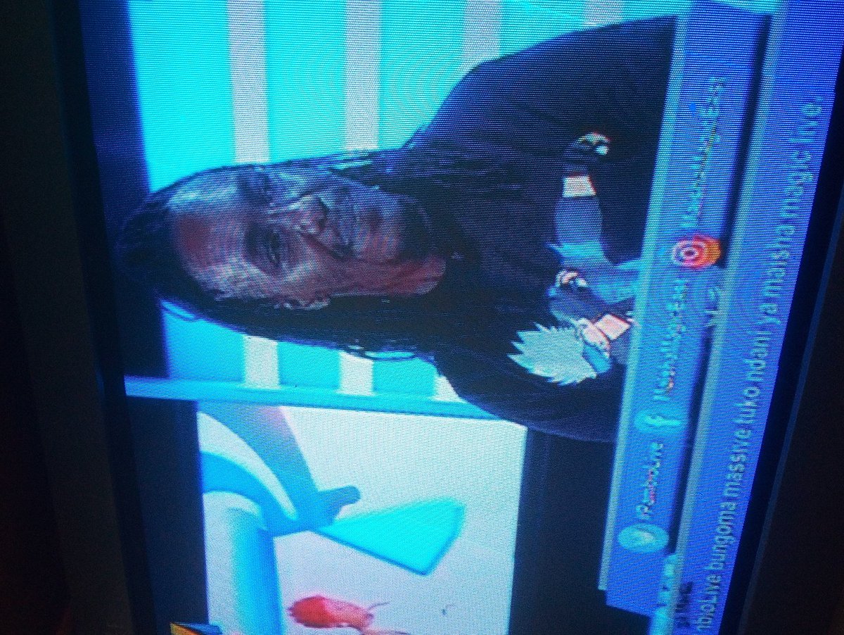 clemoh_hushy tweet picture