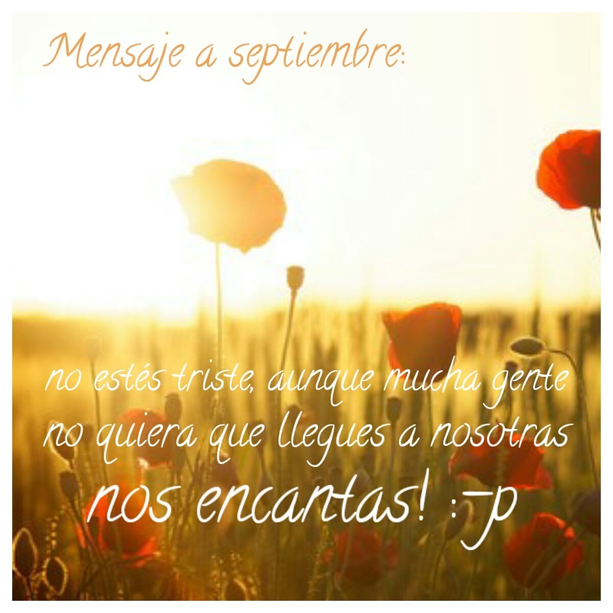 nailconceptbio's tweet photo. Cuesta dejar los días de sol, tumbona🏖, cervecitas🍻 y las NO prisas, pero con nuevos proyectos la vuelta se lleva mejor😉 Feliz viernes! https://t.co/GSiVFNueDY