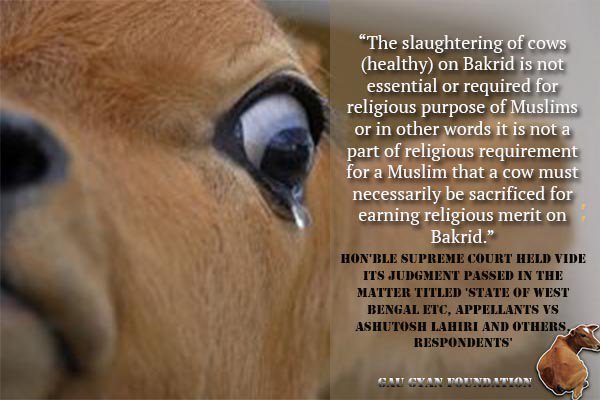 gaugyan's tweet photo. Duty of a Muslim-respect Law of the Land (Sahih al-Bukhari,2796) #RespectLaw #EndCowSlaughter  @PMOIndia @HMOIndia @amitshah @TelanganaCMO https://t.co/YXFZb2YyIo