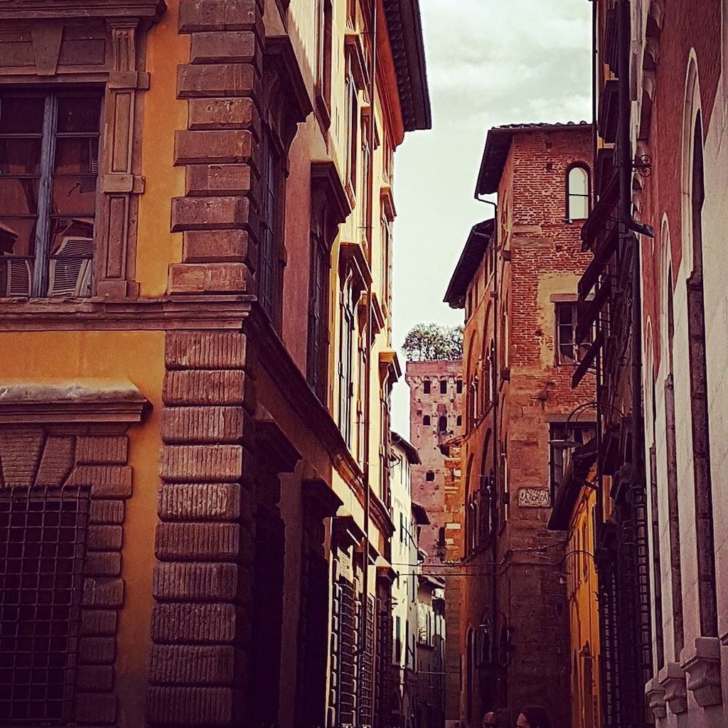 ParadisoStudio's tweet photo. Beautiful colours in Lucca &amp; trees that grow from towers!

#Lucca #Tuscany #tuscanybuzz #igertoscana #lovefromtusc… https://t.co/bSju8GDNGK https://t.co/bGegOig3OK