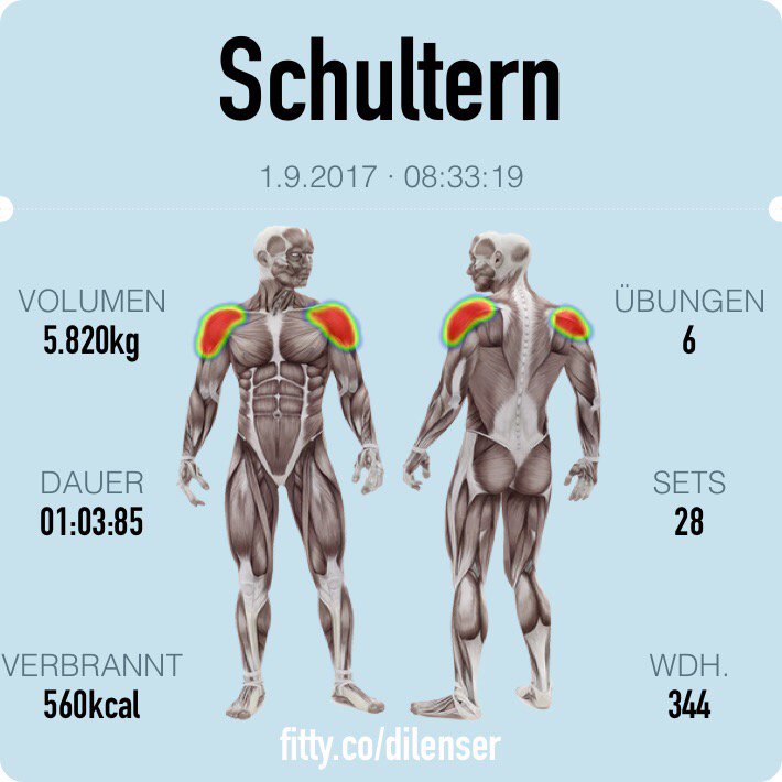 dilenser's tweet photo. Дельты! Schultern #gymheroapp #fittyco https://t.co/y0pK1XtDJ8 https://t.co/55FYyGo6Ga