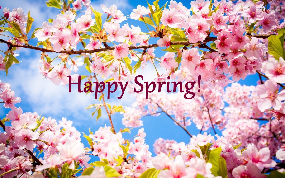 Tez1981's tweet photo. Happy first day of Spring! 
#newmonth #newseason #newopportunities #September #Spring #Springhassprung #firstdayofSpring 🌱⚘🌷🌼🌻🌺🌹🌸 https://t.co/TgoVUbaify