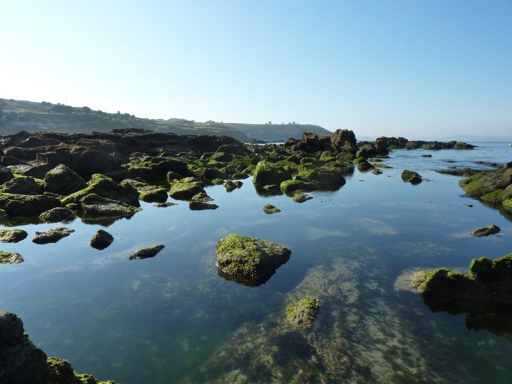 HotelAxisVigo's tweet photo. [:es]Las desconocidas de las Islas Atlánticas de Galicia[:] https://t.co/TAY7IhuwAQ https://t.co/1dQ5rYcVNK