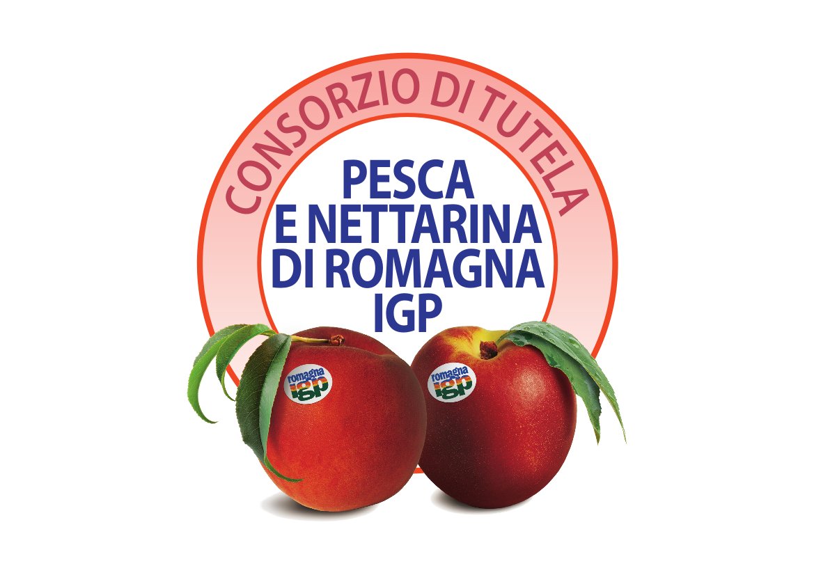 CSOItaly's tweet photo. È ufficiale: il #Consorzio della #Pesca e #Nettarina di #RomagnaIGP ottiene la tutela > https://t.co/w7u3GUHICK
#CSOItaly #ConsorzioTutela https://t.co/zagk4FSYqO