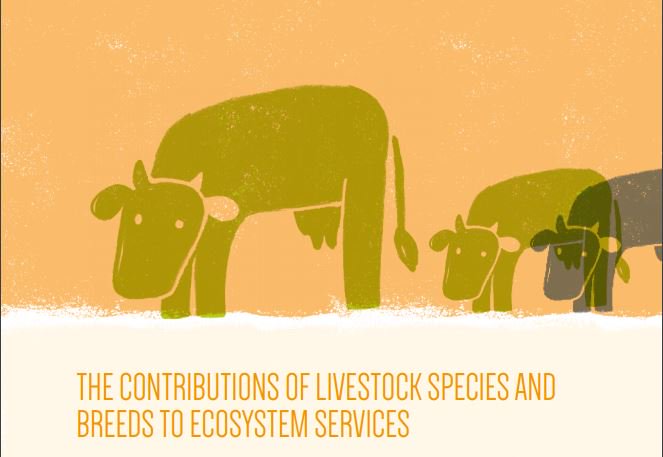 FAOLivestock's tweet photo. #Livestock transform feeds unsuited for human consumption into nutritious foods, eg converting grass into milk/meat https://t.co/8bAOso5str https://t.co/buMBWOmgvB