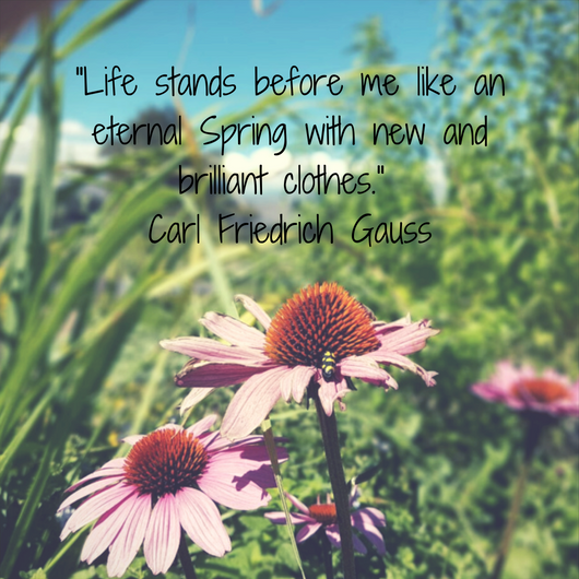 fundi_connect's tweet photo. Spring has sprung and with it - new life, new OPPORTUNITY and new beauty. The future is yours. #SpringDay2017 #SpringDay https://t.co/tWu3FXyUBs