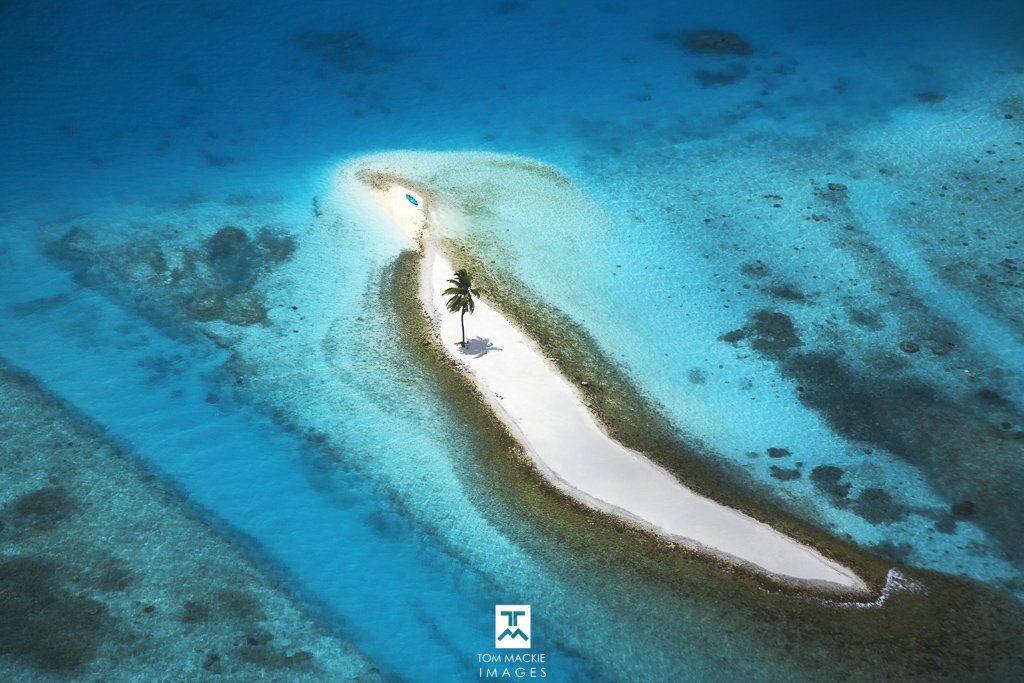 I was surprised to see this single palm tree on an island in the Maldives as I was flying by seaplane back to Male.