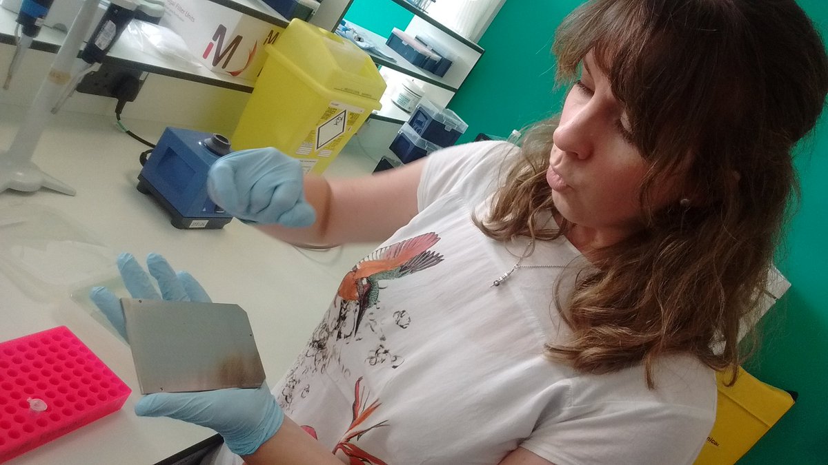 BodCons's tweet photo. When it comes to parchment can you separate the sheep from the goats? Learning about collagen protein analysis from @York_BioArCh https://t.co/f8rnXAzAXz