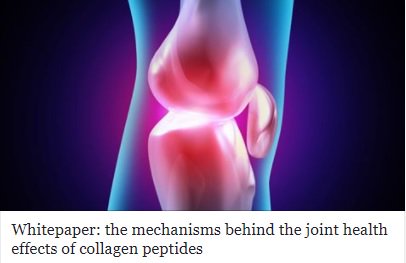 Download free whitepaper to discover the mechanisms behind the joint #health effects of #collagen peptides: peptan.com/about-peptan/d…