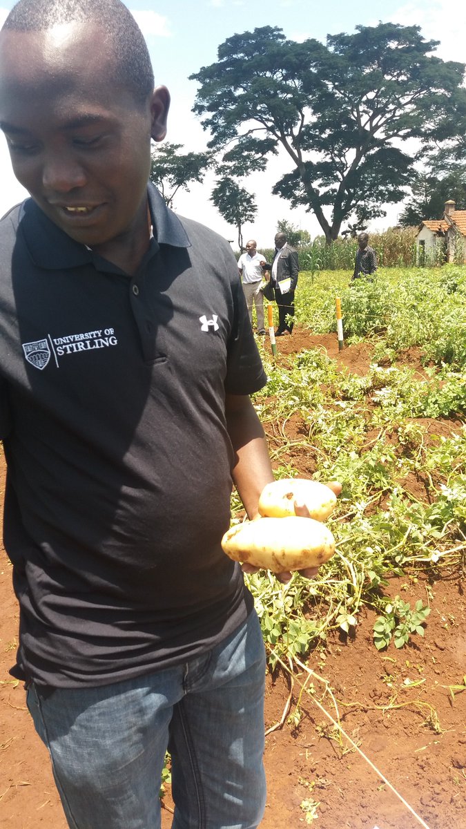 Know your strenght and customers needs before your invest
#AfricaYouthinAg2 <a href="/AAINOnline/">AAIN</a> <a href="/rodgers_kirwa/">Mr. Agriculture 👩‍🌾</a> @AGRAAlliance