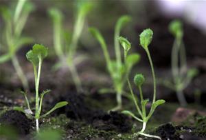 UAM_Poznan's tweet image. #Stres a #mikroRNA w badaniach dr Katarzyny Knop z #UAM:
tinyurl.com/mikroRNA