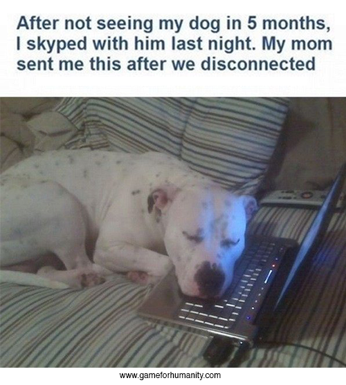 GameForHumanity tweet media