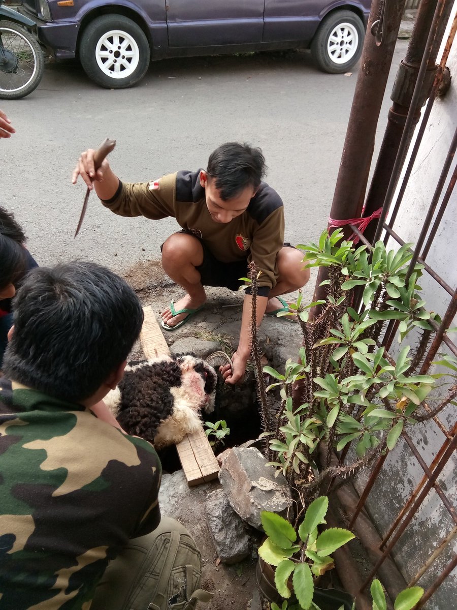 budlan's tweet photo. Alhamdulillah Titipan #Qurban
Buat Masy Andir |Hatur nuhun Ibu @lediahanifa 
moga Berkah wat semua
@PKSejahtera 
@PKS_Bandung 
@dpcpksandir https://t.co/QMQuQpCtm2