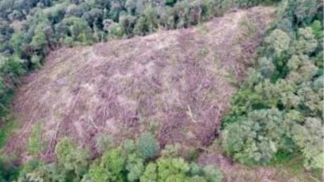 SaveMtSlamet's tweet photo. Pak @jonan_ignasius . ente baru jd mentri esdm kmarin mewarisi proyek rezim kemplu. Hancur smua hutan indonesia. Tlong batalkan seluruh pltp https://t.co/Ci2O1qfZNO
