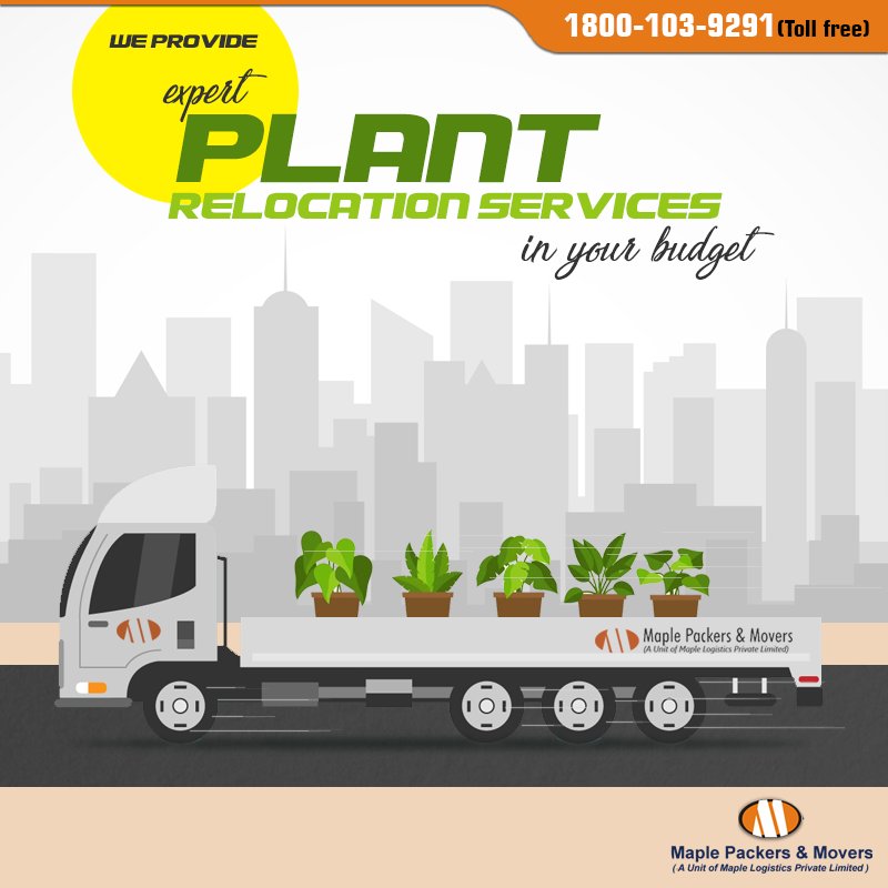 MaplePackers's tweet image. Looking for affordable #PlantRelocation services? If yes, then #MaplePackersandMovers is there for your help. bit.ly/2tjT5YG