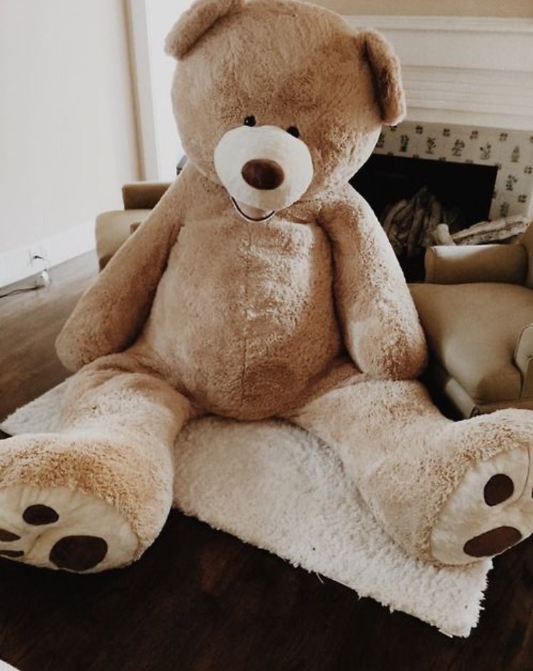 AmeliaFoxx's tweet photo. Mom- your to old to sleep with teddy bears 
Me-........ https://t.co/Y3Dtu0KecU