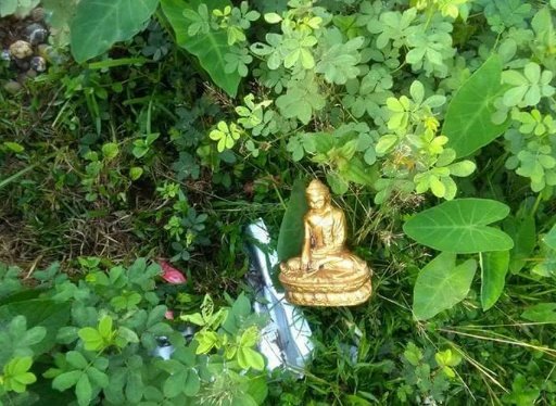 phyoe_lay's tweet photo. #Muslim #terrorists destroyed  Buddhist statute and monastery #Rakhine #Myanmar https://t.co/v2PXQpGf5W