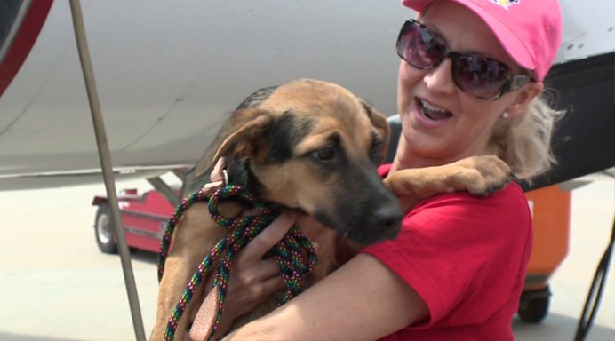 ajfendercincy's tweet photo. More than 100 shelter animals flown to San Dieg... #dogs #pets #rescue #harvey #hurricane #dog https://t.co/uZOhxtK7IN https://t.co/ebmHxtGdy4