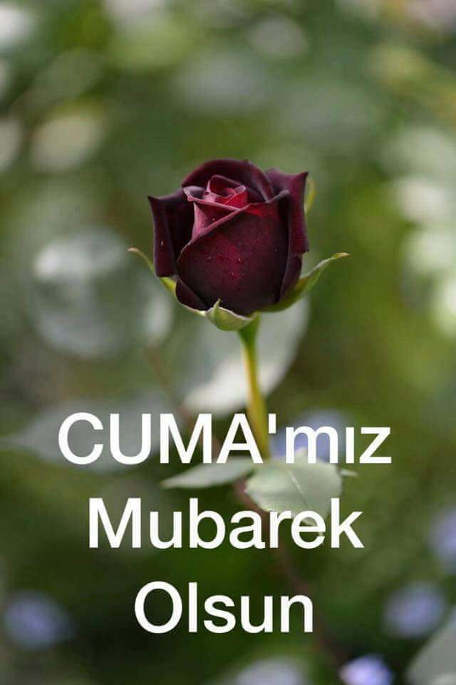 OkurGonul's tweet photo. Allahım seni sevmeyi,
Seni sevenleri sevmeyi,
Seni sevindirecek  ameller işlemeyi sevmeyi,bizlere nasip eyle.Amin
#BayramınızMübarekOlsun https://t.co/Mmpk45vmZ8