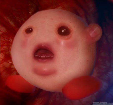 CulKods's tweet photo. ITZ A KARBY

SPOOPED TOOO BADLI 😱😱😱😱😱😱😱😱😱😱😱😱😱😱 https://t.co/BxZp2bpIS3