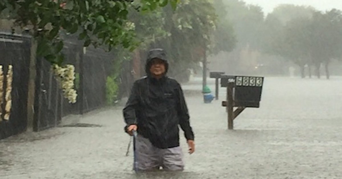 A Village Called Versailles - Documentary tweet media