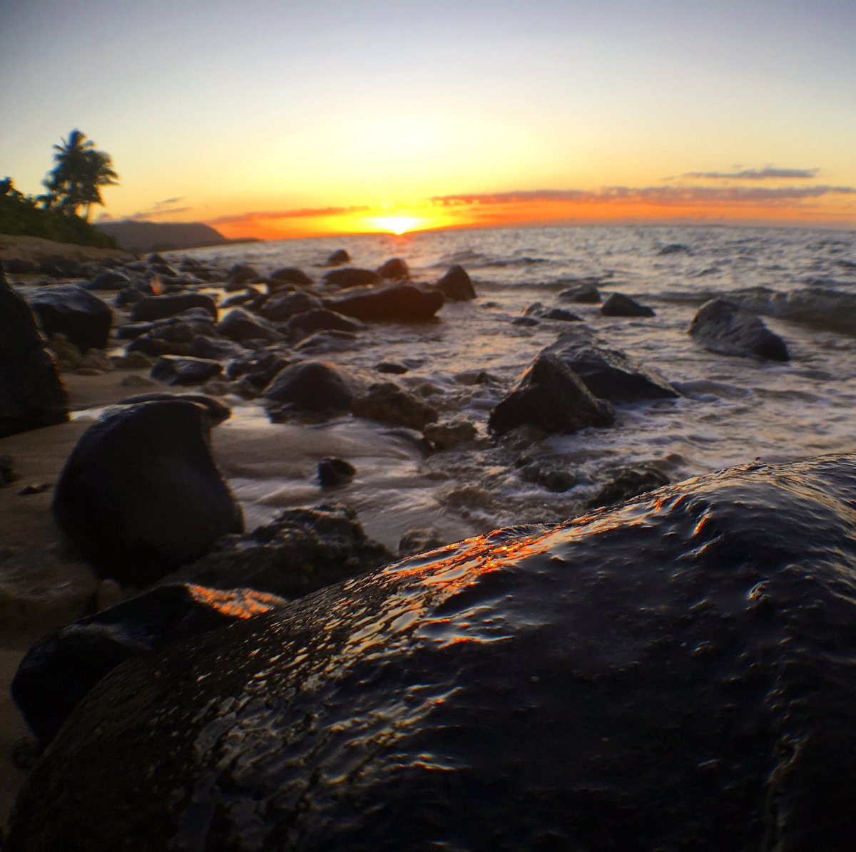 ClayOahu's tweet photo. @thenineclubshow @chris_roberts1 #crob. @KellyHart I just don't understand the vibes of skating rocks. #sheffey #hawaii #sunset #aloha https://t.co/1mRxoQRTva