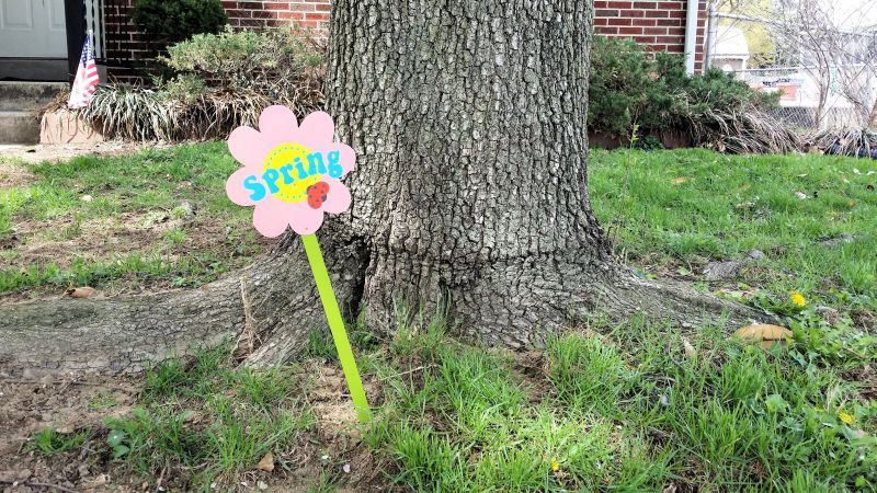 Knysna Log-Inn Hotel tweet media