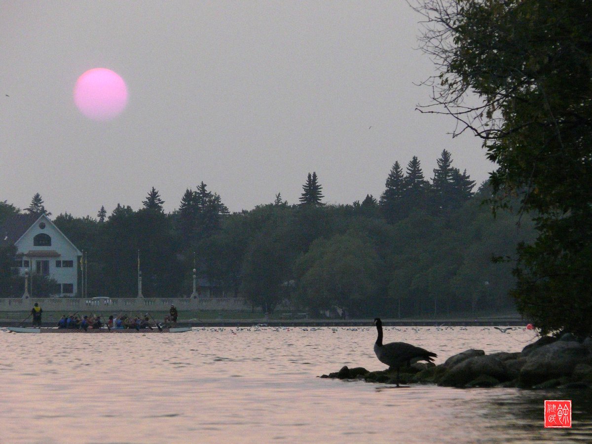 banadian's tweet photo. Smoky sky...awesome sunset! @WascanaCentre #WCA150 https://t.co/uKxV8GAd39