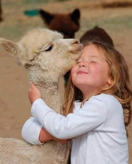 <a href="/SINIRSIZLAR/">SINIRSIZLAR</a> @Sade_Nefes <a href="/ozgurcedusunce/">TCÖzgürceDüşünce 🇹🇷</a> <a href="/Yettin_gari/">deli mavi</a> <a href="/burcinumay/">BuRçin</a> @1905Karahan1905 <a href="/odun_emmi/">Oduncu BABA M.K.A</a> <a href="/sadumancim/">Şaduman Okur</a> @dilaragingok @cadolos_01 <a href="/AKILLIGOKCE/">AKILLIGOKCE</a> #iyibayramlar SINIRSIZLAR ailem