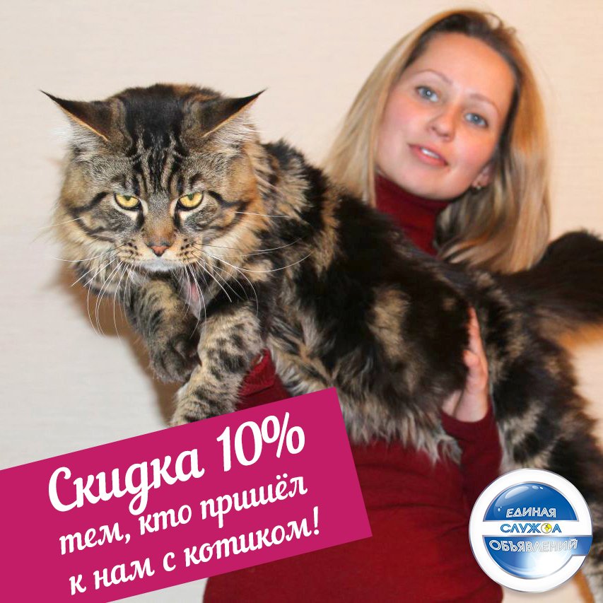 eso4you's tweet image. 😻Новым клиентам, пришедшим к нам с котиком скидка 10% на бегущую строку тв Екатеринбурга!
Читать: goo.gl/f25PGS
#скидки #акции