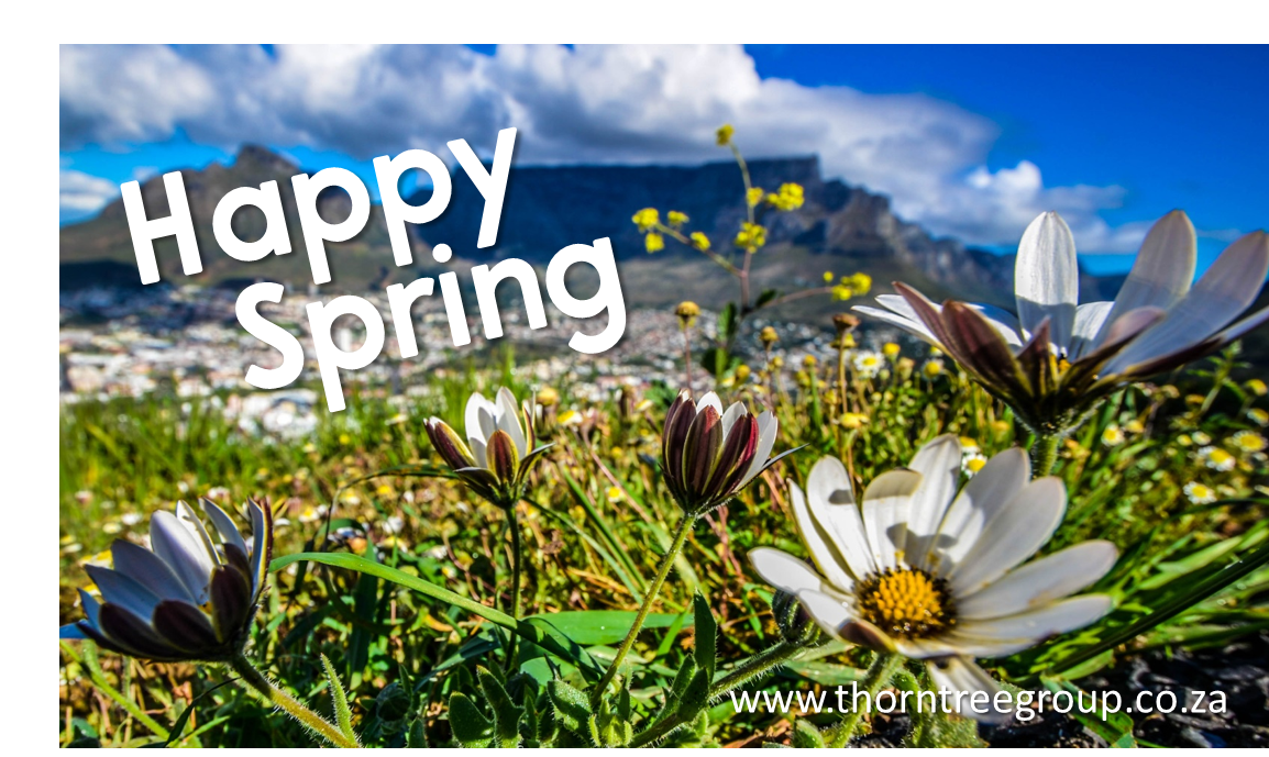 ThornTreeGroup's tweet photo. Happy first day of Spring South Africa! #SpringDay #NewBeginnings #Happiness Photo credit: @lovecapetown https://t.co/j8t6QENi2f