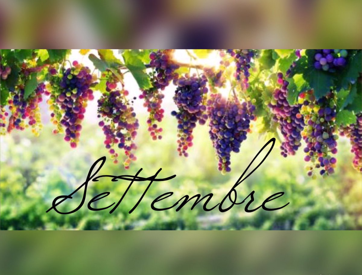 AlessiaBonamano's tweet photo. ehi TU
Avevi detto "a settembre" 🙄
Bene OGGI è SETTEMBRE 👊🏻
Vi aspetto in chat👉🏻bombardatemi pure
#Chat #online #buongiorno #nuovi #inizi https://t.co/g8aB969Ig6