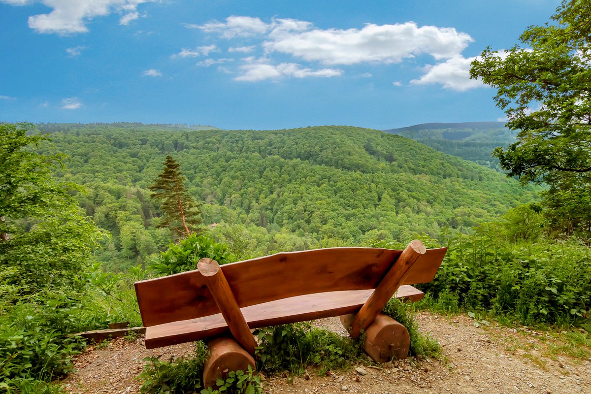 Heilsamer #Harz - #Wellness und #Erholung in #BadHarzburg 
online-zeitung.de/2017/08/30/hei…

#badharzburg #harz #meinNiedersachsen #wandern #natur
