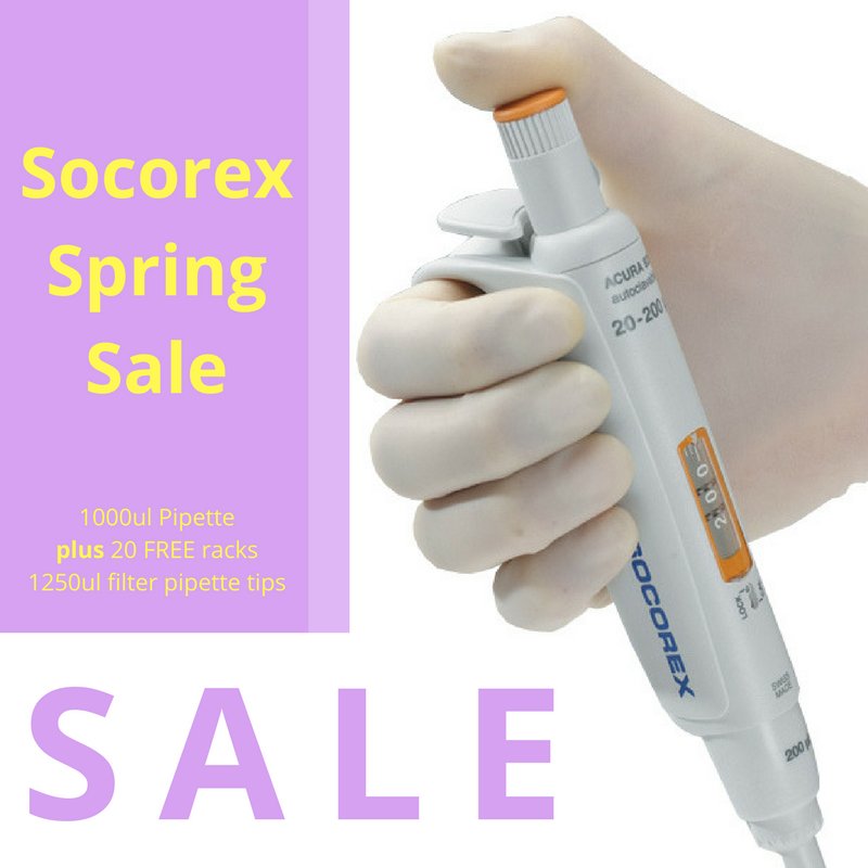 Interpath Services tweet media