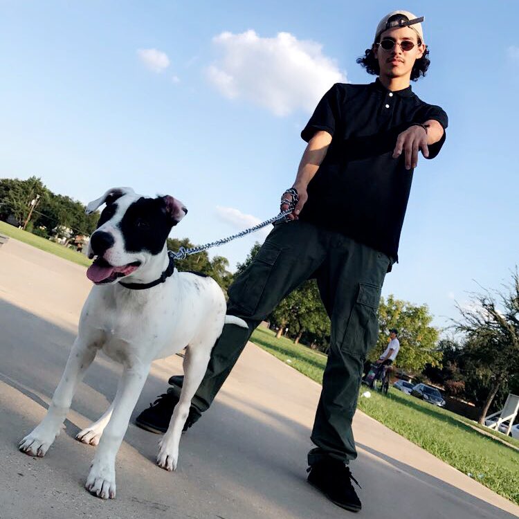 alexregz's tweet photo. mf son 💯 https://t.co/vQmPj5fryc