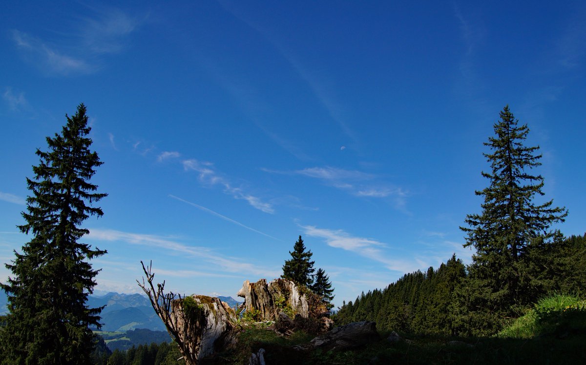 MobMysth's tweet photo. Impressionen #Geigelstein - #Wandern @chiemseealpen https://t.co/riqXhPcnmE