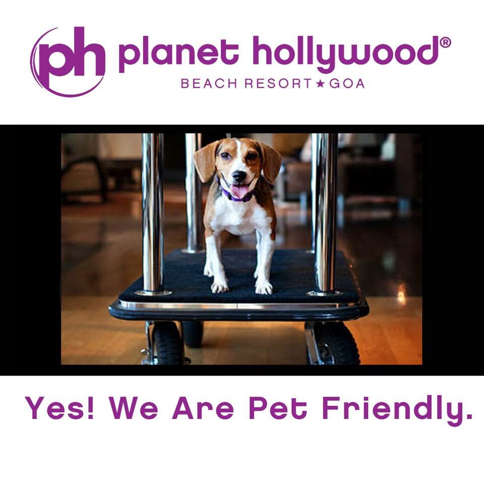 PHGoa's tweet photo. We are super thrilled to announce that starting from today #PlanetHollywoodGoa is "Pet Friendly".
#PetFriendlyPH #AnimalLovers #PetPlanet https://t.co/cbXvnGUqh8