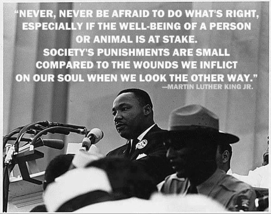 duhpolitics's tweet photo. Never be afraid to do what's right. #MLK https://t.co/0B4mSyMTQo