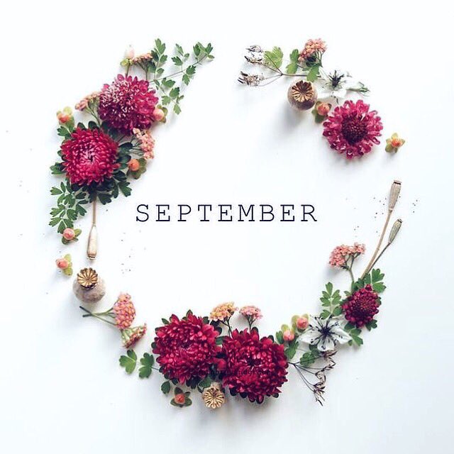 Belen_SanchezP's tweet photo. Chapter 9 of 12: Hello September! ๐ฆโ๏ธ๐๐๐๐๐ #helloseptember #september #chapter9of12 https://t.co/EyOhlU9Qak