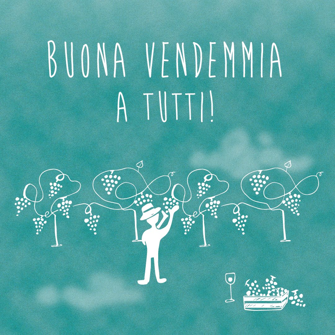 #harvest2017 #readytogo #septemberishere #cisiamoanchenoi