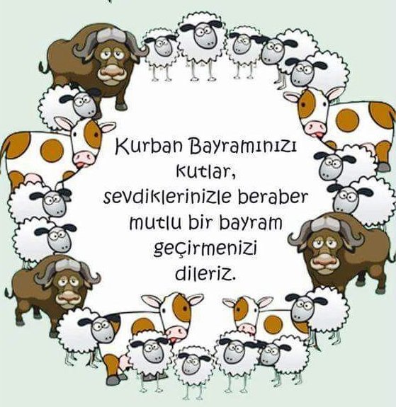 Serdar Sevinç (@seryussev) on Twitter photo 