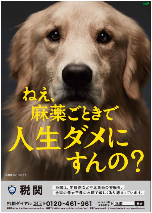 ◆激レア◆探知犬〈東京税関〉ラミネートカード4枚➕税関チラシ ◇激レア◇探知犬〈東京税関〉ラミネートカード4枚➕税関チラシ