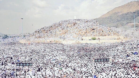 AAMIRMALIK16's tweet photo. #Pilgrims gather in Mount Arafah for Hajj.

No difference between race and wealth, everyone is equal.

Eid Mubarak everybody :) #EidAlAdha https://t.co/J2P99wcw6n