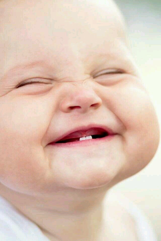 GulaboTheRose's tweet photo. ishq wala #love
pyaari wali #gooodMorning
aur #bakray wali #EidMubarak πππ
@libra_umar @waqasrehman1 @__farzanaa https://t.co/FLf2LnbRkC