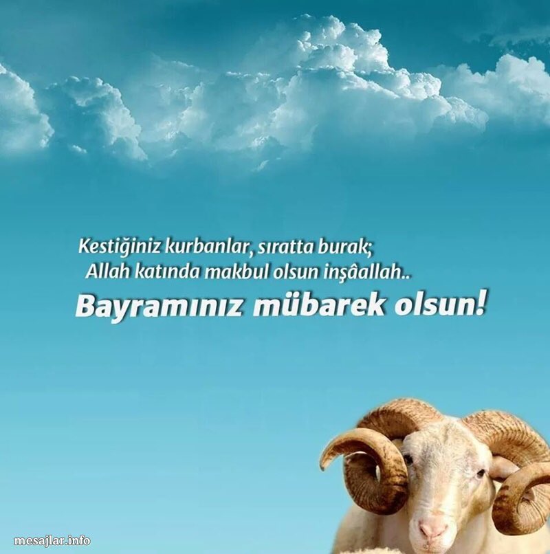 Mustafa Ümit (@mustafamit7umit) on Twitter photo 