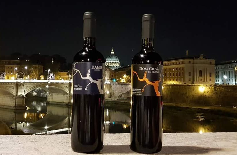 Ducropio's tweet photo. nell' UNICITA'... L'ECCELLENZA di grandi rossi
DU CROPIO Vinery
#DuCropioVinery #Calabria #Gaglioppo #winelover #winetasting #eccellenze https://t.co/1XCwPugO2L